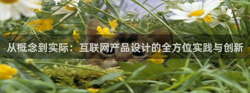 天狮娱乐彩票平台