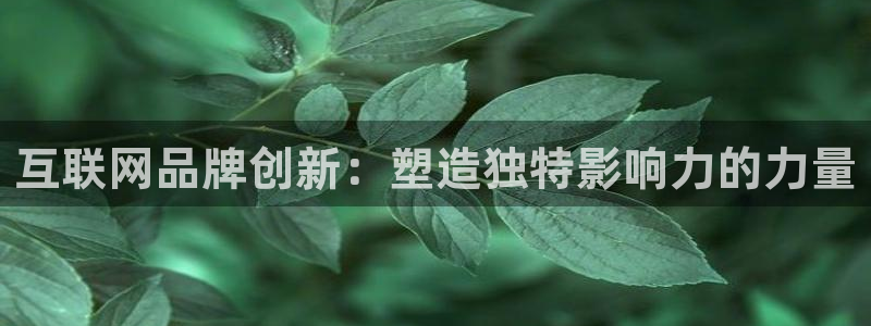 天狮娱乐主管29229