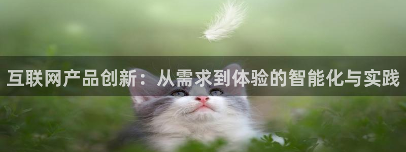 天狮娱乐资金安全吗