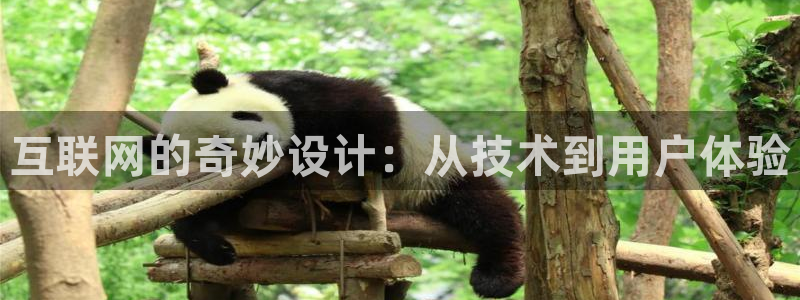 天狮娱乐怎么做