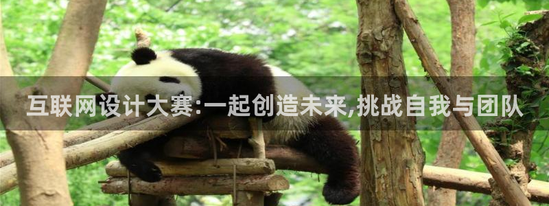 天狮娱乐主管汽车之家