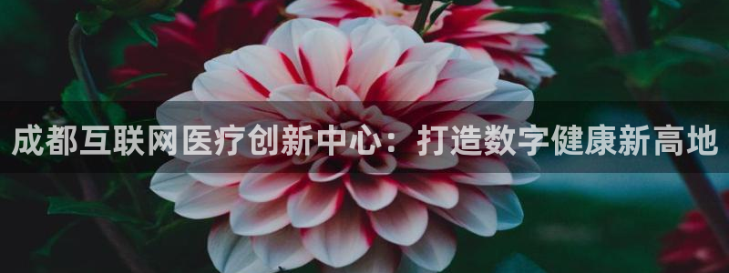 天狮娱乐是什么东西