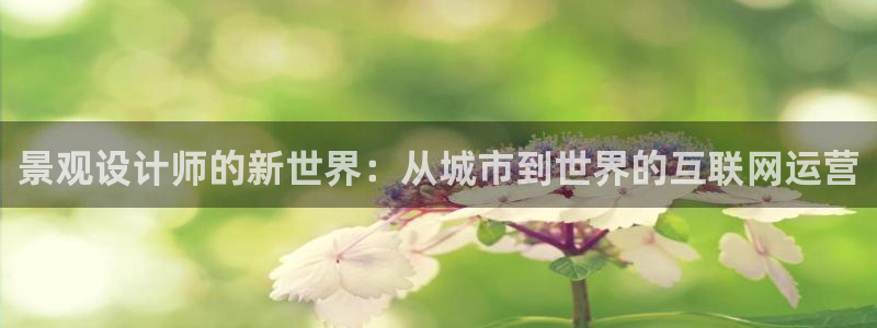 天狮娱乐 amp u招商35980