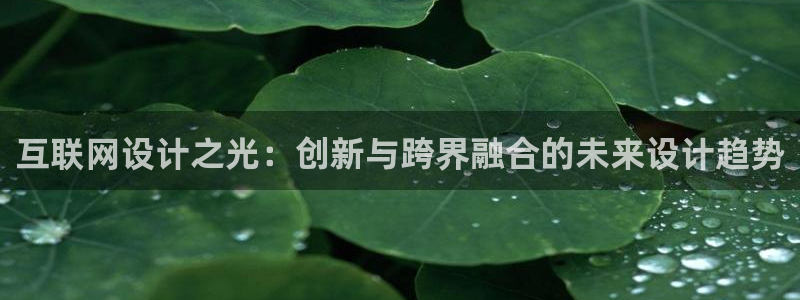 天狮娱乐 a招商60447