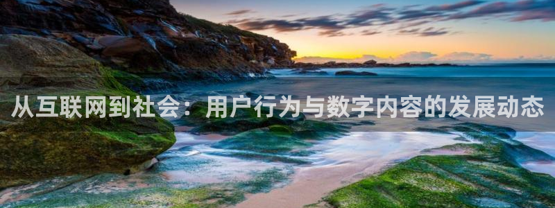 有玩天狮娱乐：从互联网到社会：
