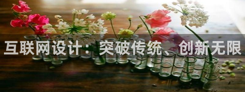 天狮娱乐总部在哪里：互联网设计