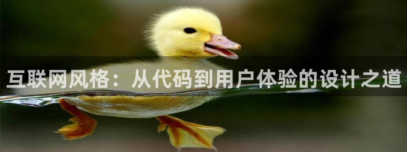 天狮娱乐客服：互联网风格：从代