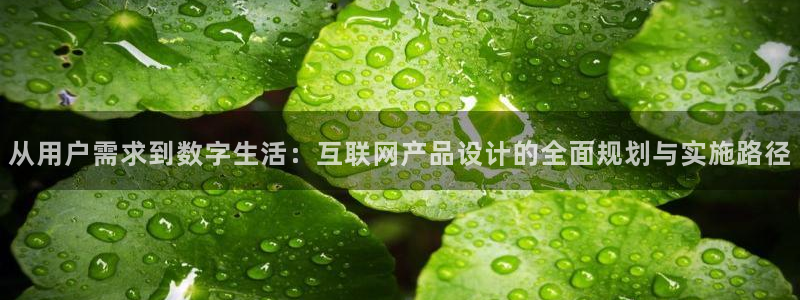 天狮yl娱乐：从用户需求到数字
