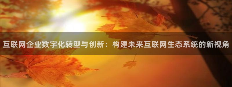 天狮娱乐丶品rd01 vip