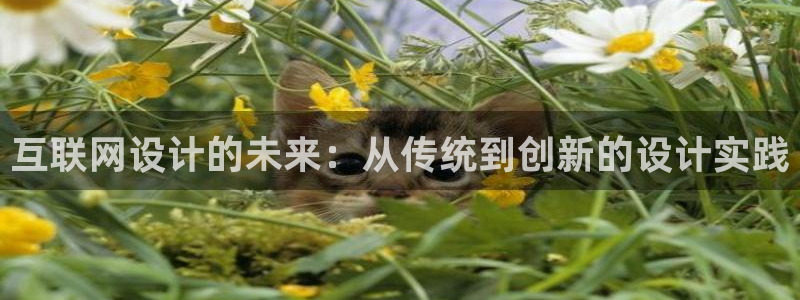 天狮娱乐负责