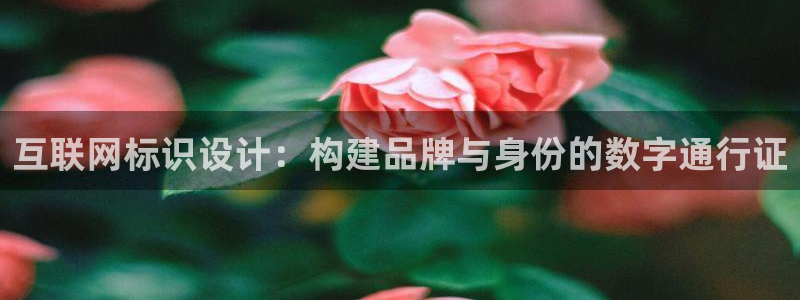 天狮娱乐是正规平台吗