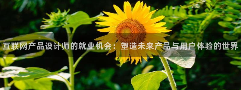 天狮娱乐138