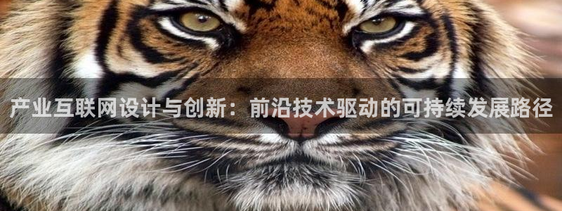 天狮娱乐最高奖金注册：产业互联
