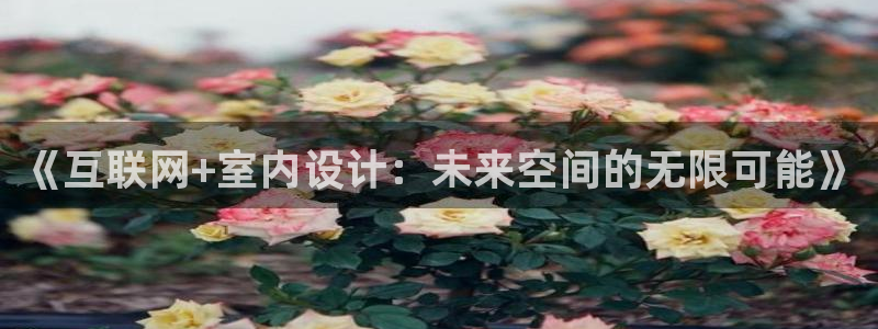天狮娱乐是私人平台吗：《互联网