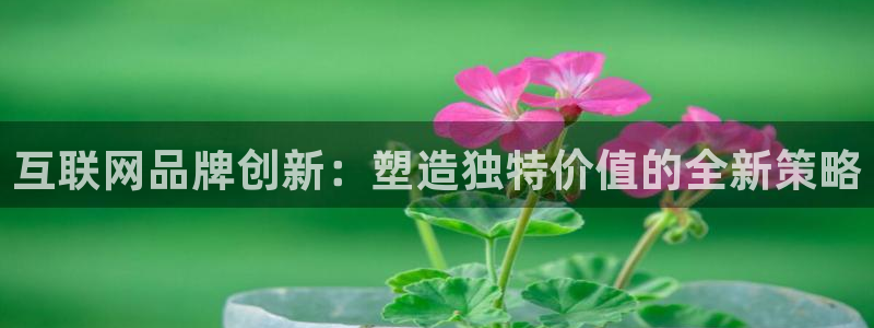 天狮娱乐 b运营67646：互