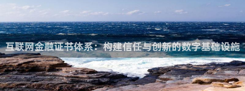 天狮娱乐縕不稳当：互联网金融证