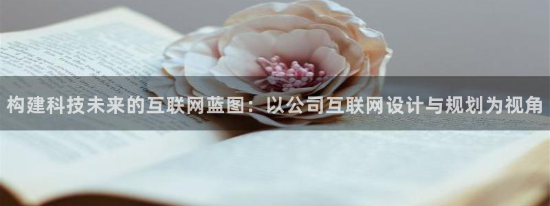 天狮娱乐主管q844389