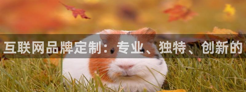 天狮娱乐指尖下