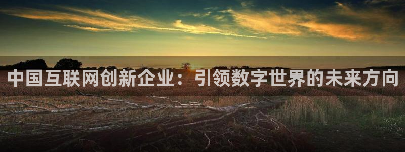 天狮娱乐代理制度