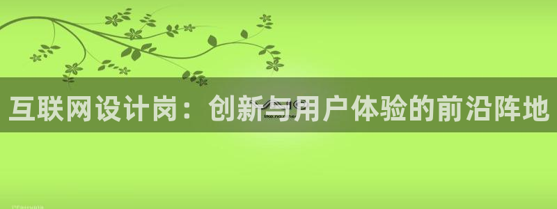 天狮天狮娱乐下载：互联网设计岗